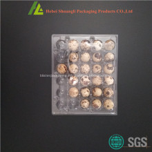 Clear quail egg storage plastic box with hinged lid